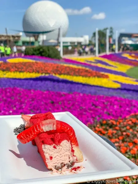 Strawberry Mousse with flowers and Spaceship Earth at Epcot Flower and Garden