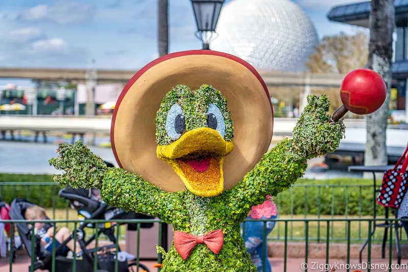 Donald Duck Mexico Topiary Epcot Flower and Garden Festival