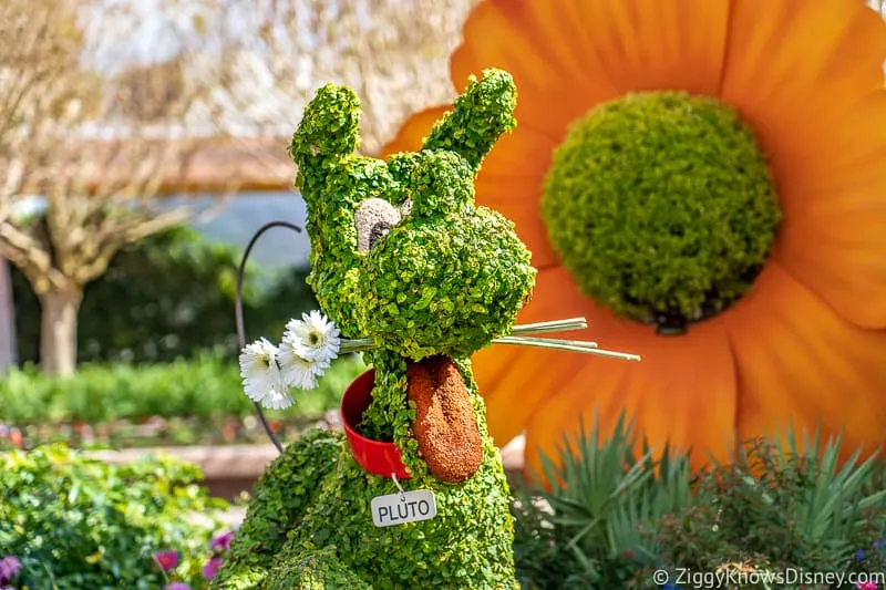 Pluto with flowers in mouth Topiary Epcot Flower and Garden Festival