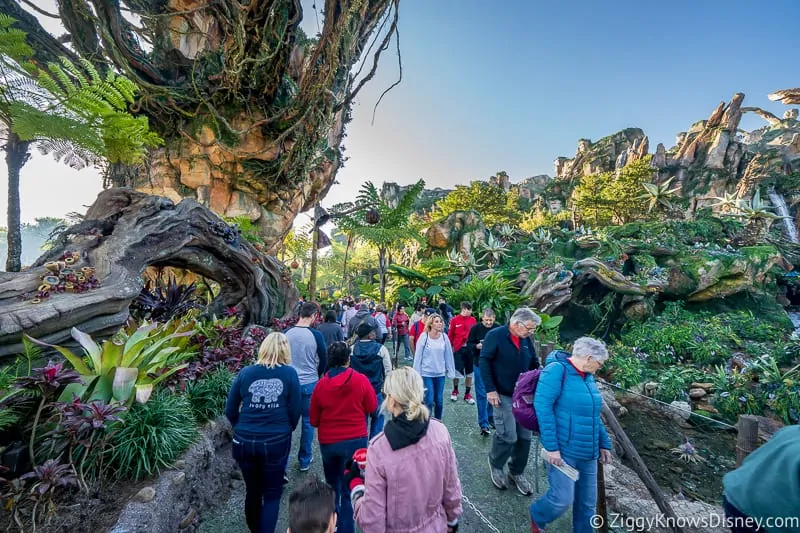 waiting in ride queue Flight of Passage