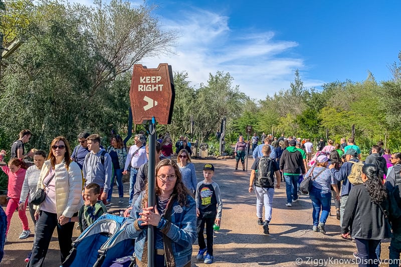 large crowd of people trying to walk through the Disney park