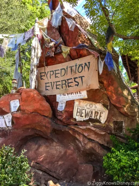 Expedition Everest Animal Kingdom