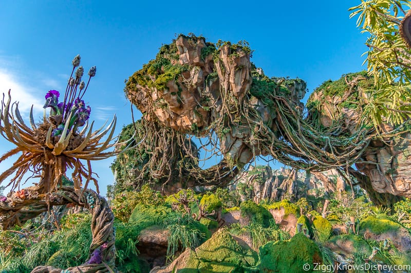 Disney reopening Animal Kingdom