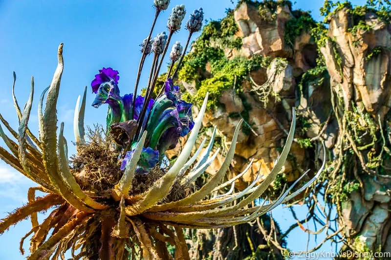 Plants in Pandora: The World of Avatar