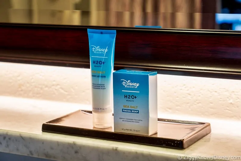 Keeping Safe in Disney World by washing your hands