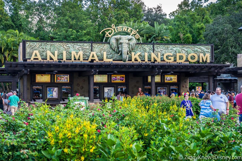 Disney's Animal Kingdom entrance