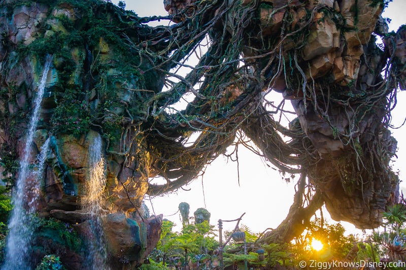 sunset in Pandora: The World of Avatar