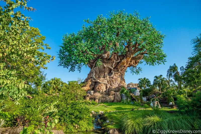 Disney's Animal Kingdom After Reopening | What's Open in 2022