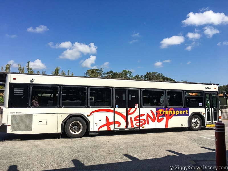 disney bus schedule magic kingdom to animal kingdom