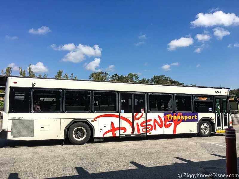 Animal Kingdom bus transportation