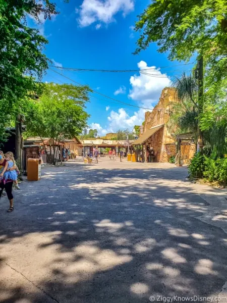Animal Kingdom crowds after reopening
