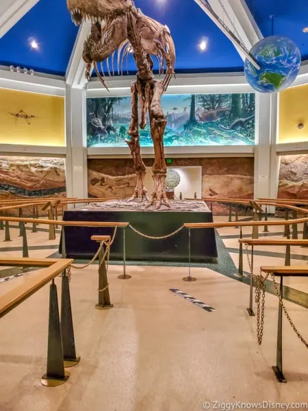 Empty Dinosaur queue in Animal Kingdom