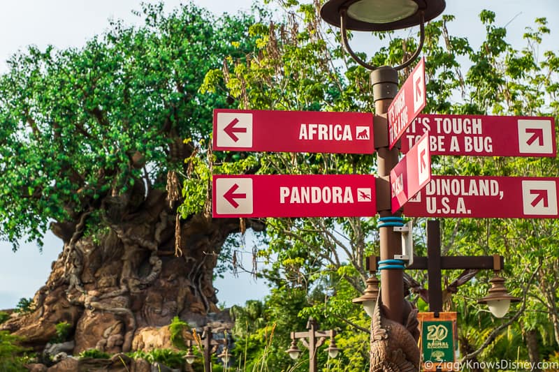 Animal Kingdom signs to Africa and Pandora