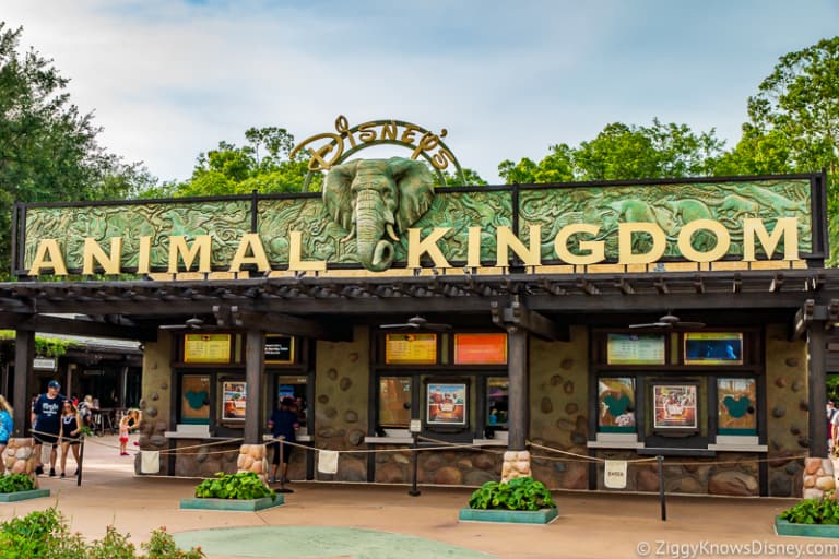 Disney's Animal Kingdom After Reopening | What's Open in 2022