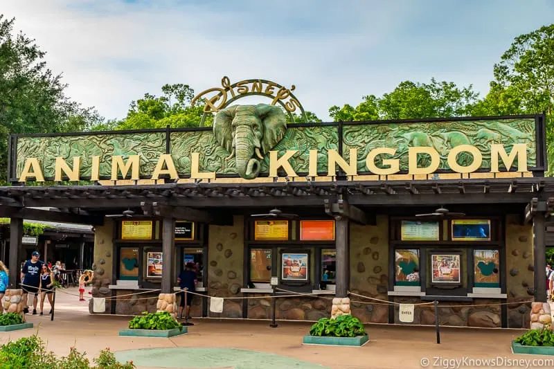 Animal Kingdom park entrance