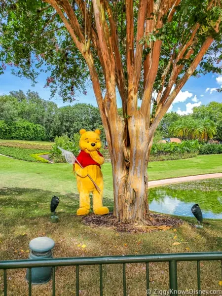 Winnie the Pooh Character EPCOT gardens