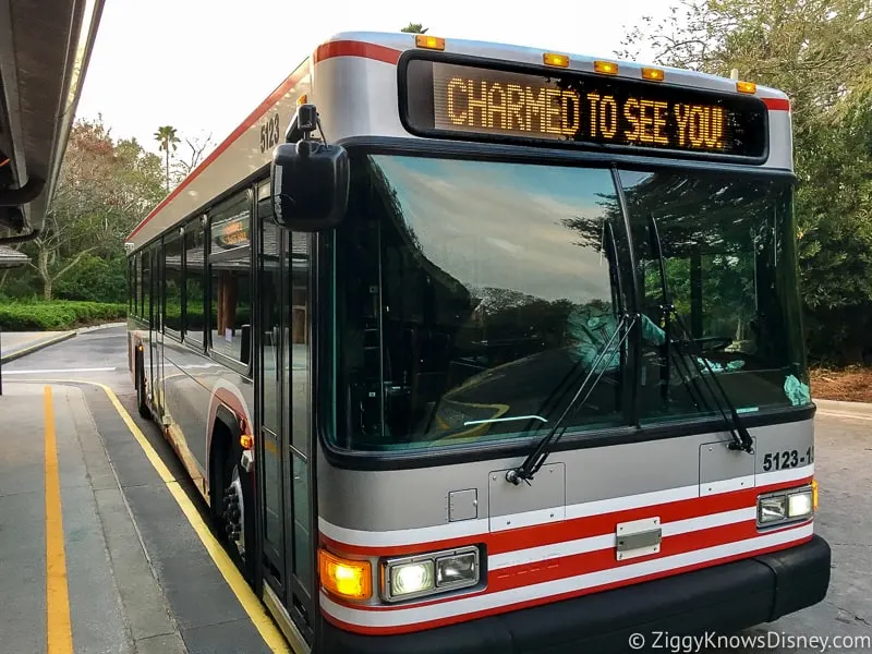 Disney World Bus System Transportation