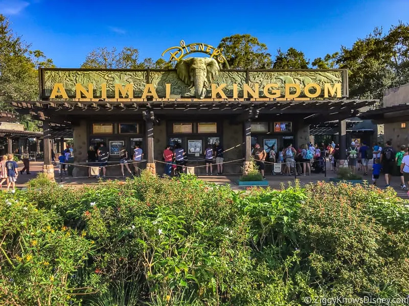 outside Disney's Animal Kingdom entrance