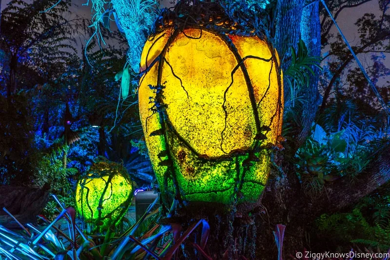 Lights at night in Pandora the World of Avatar