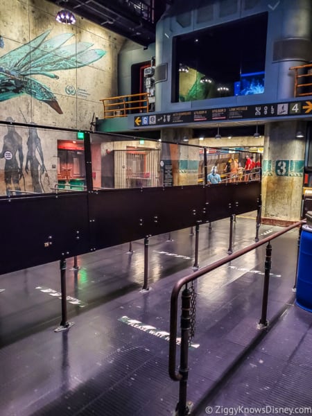 plexiglass dividers in Flight of Passage queue