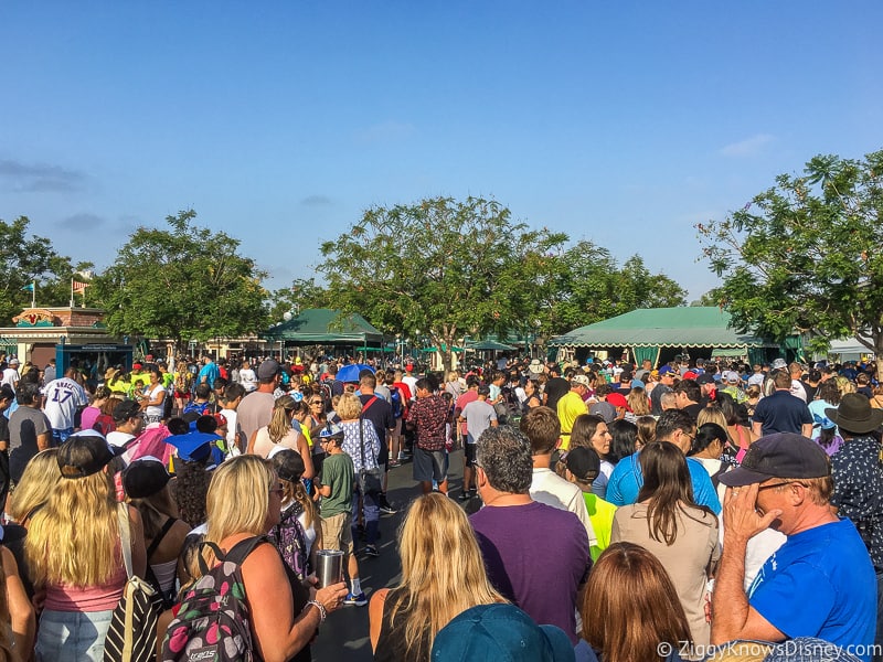 Disneyland crowds