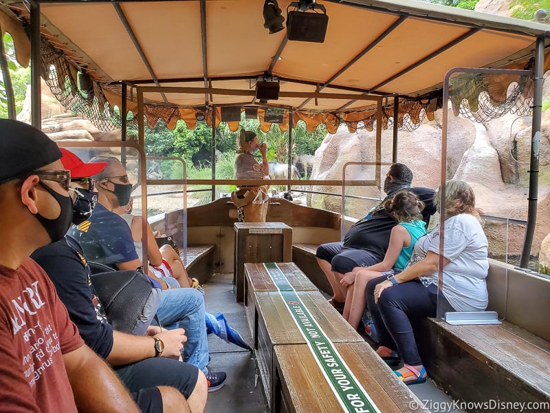 wearing Face Masks on Disney rides