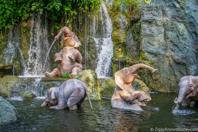 Jungle Cruise ride at Magic Kingdom Park