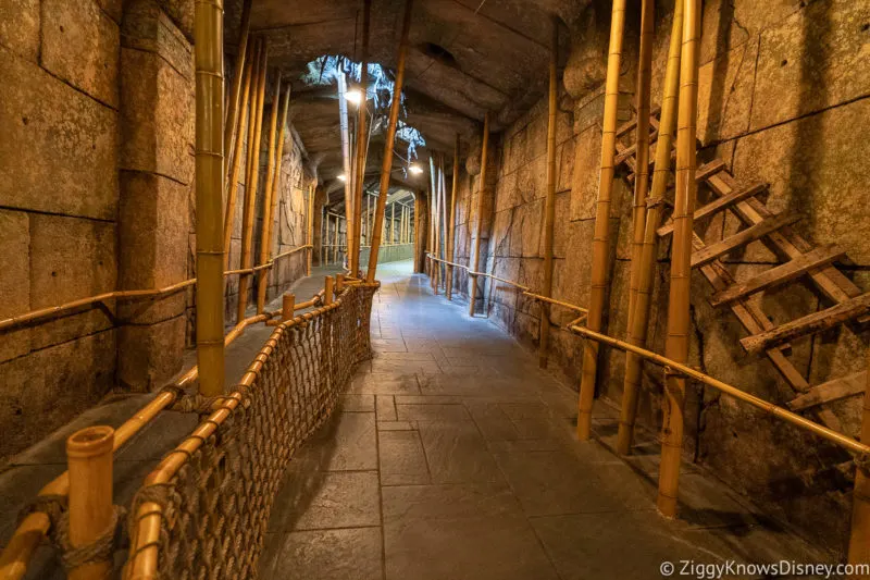 Virtual Queue for Indiana Jones Adventure Disneyland