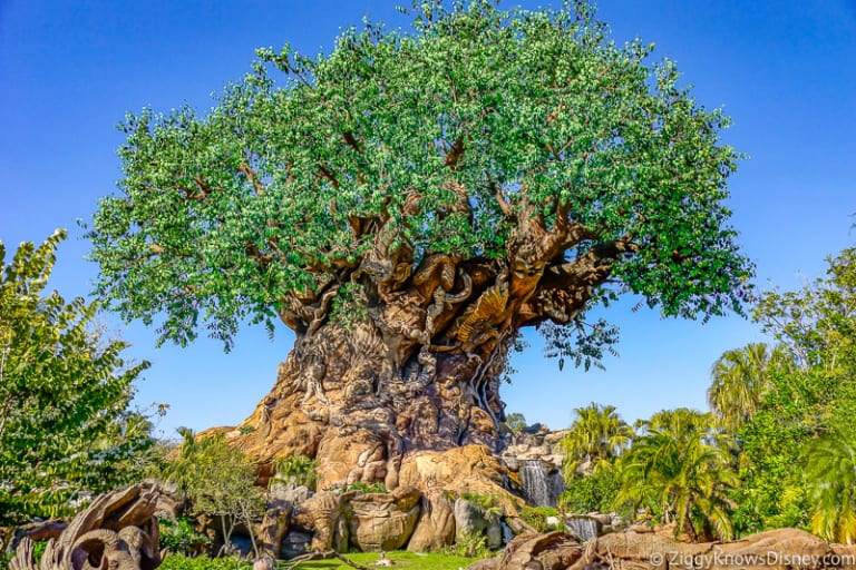 Disney's Animal Kingdom Park Guide | Walt Disney World