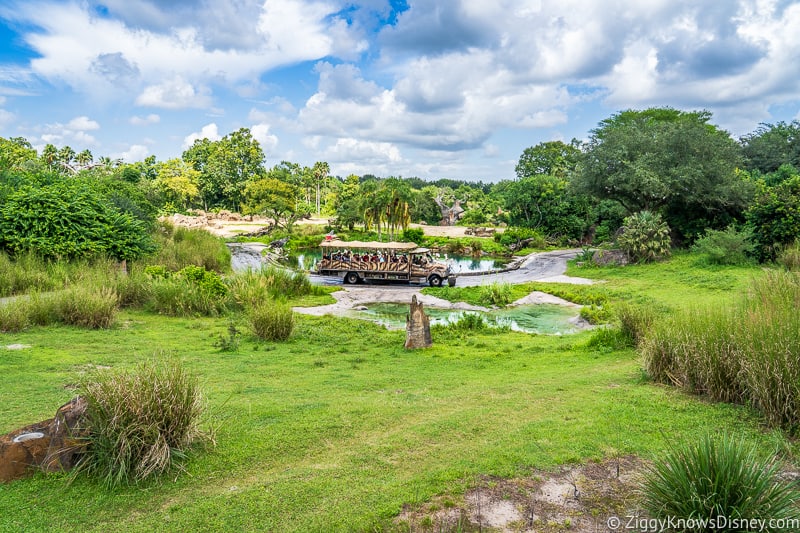 Kilimanjaro Safaris Savanna