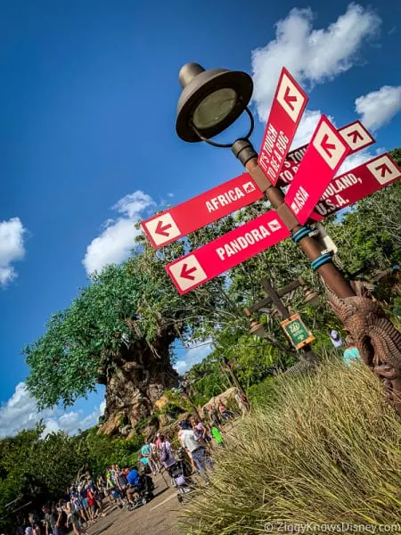 Animal Kingdom Lands Sign and Tree of Life