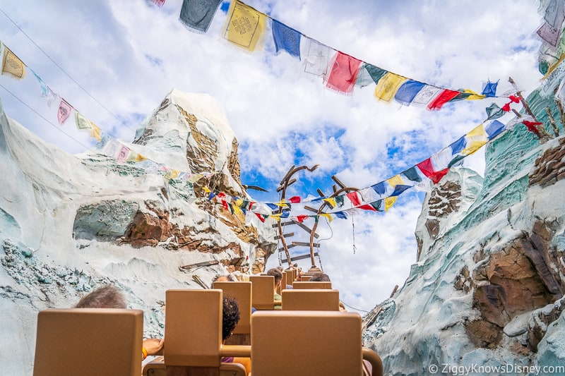 Expedition Everest Disney's Animal Kingdom