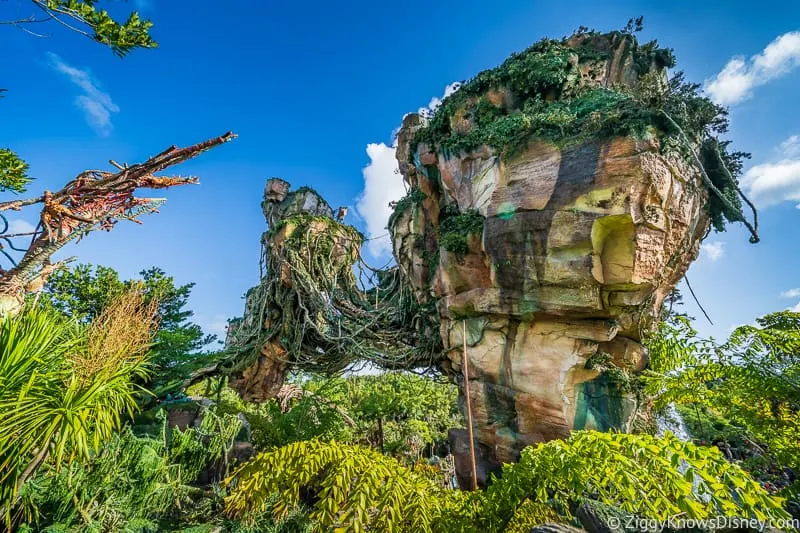 Floating Mountains Disney's Animal Kingdom Park