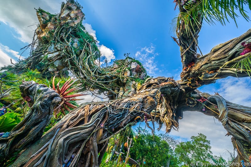 Under the floating mountains at Pandora