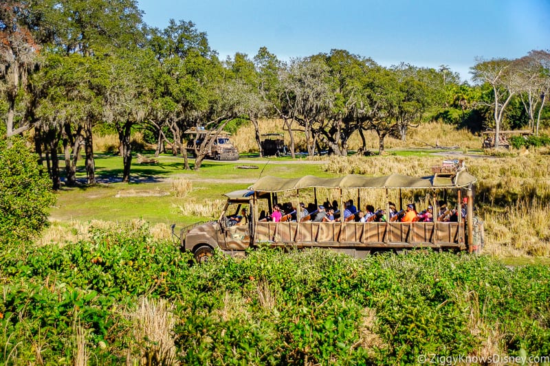 Kilimanjaro Safaris Savanna Disney's Animal Kingdom