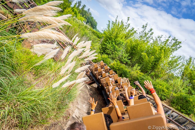 Expedition Everest roller coaster Animal Kingdom