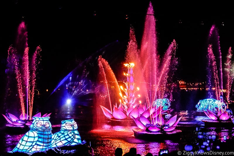 Rivers of Light Show Animal Kingdom