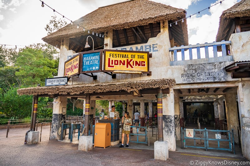 Festival of the Lion King entrance