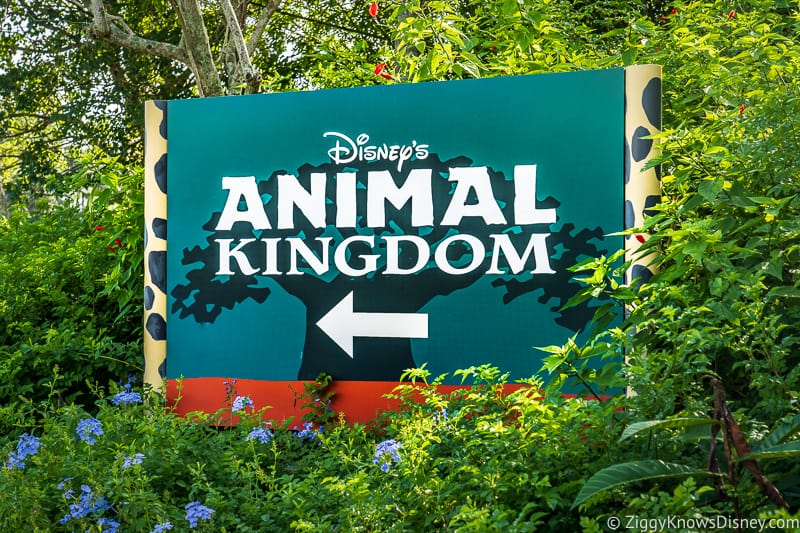 Disney's Animal Kingdom entrance sign