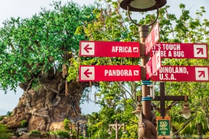 Disney's Animal Kingdom Park Guide | Walt Disney World