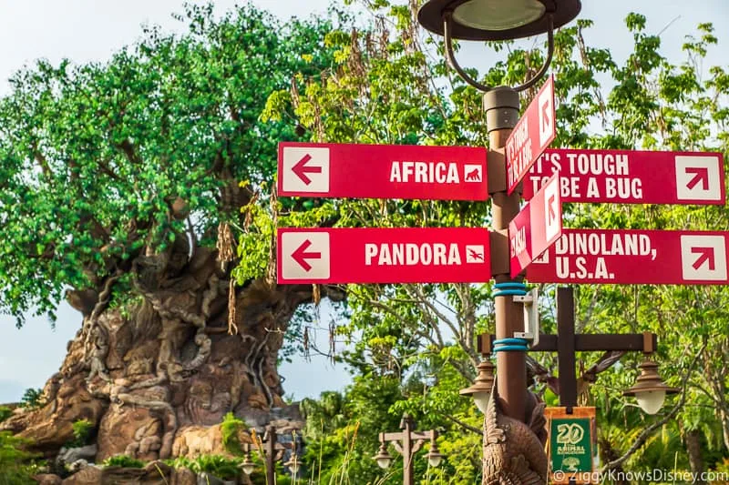 Direction sign at Disney's Animal Kingdom