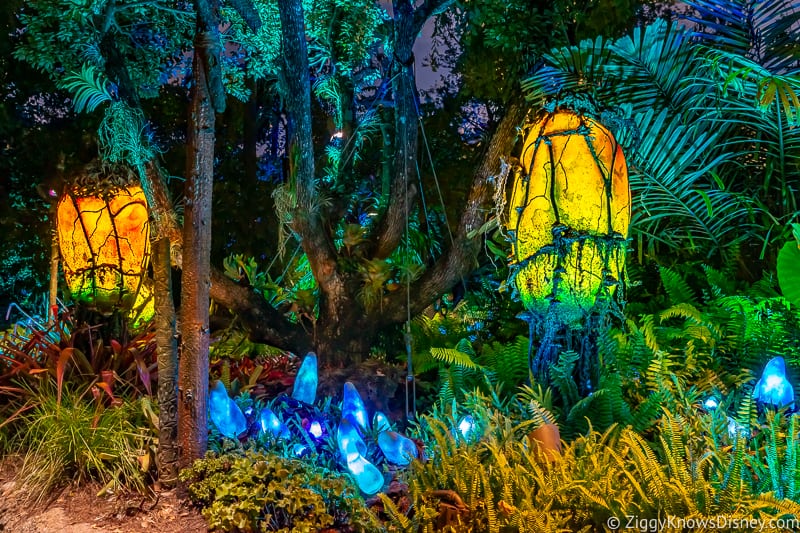 glowing lamps at Pandora: The World of Avatar at night