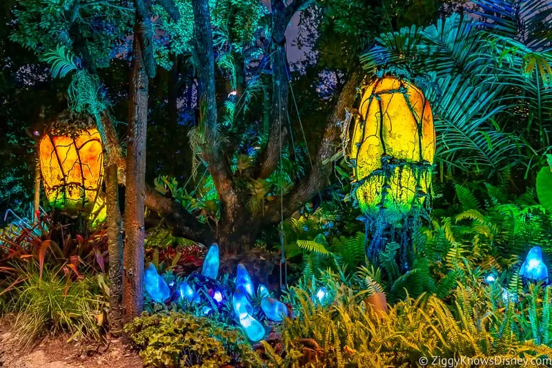 glowing lamps at Pandora: The World of Avatar at night