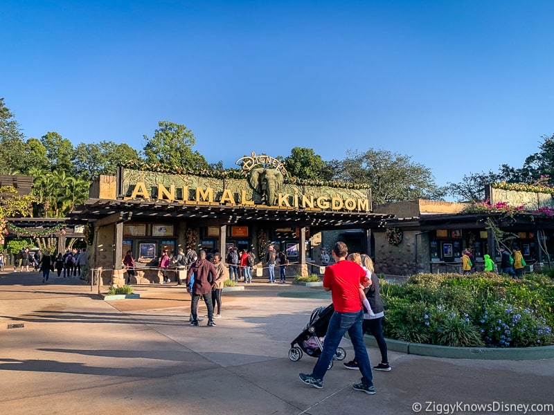 Disney's Animal Kingdom park entrance