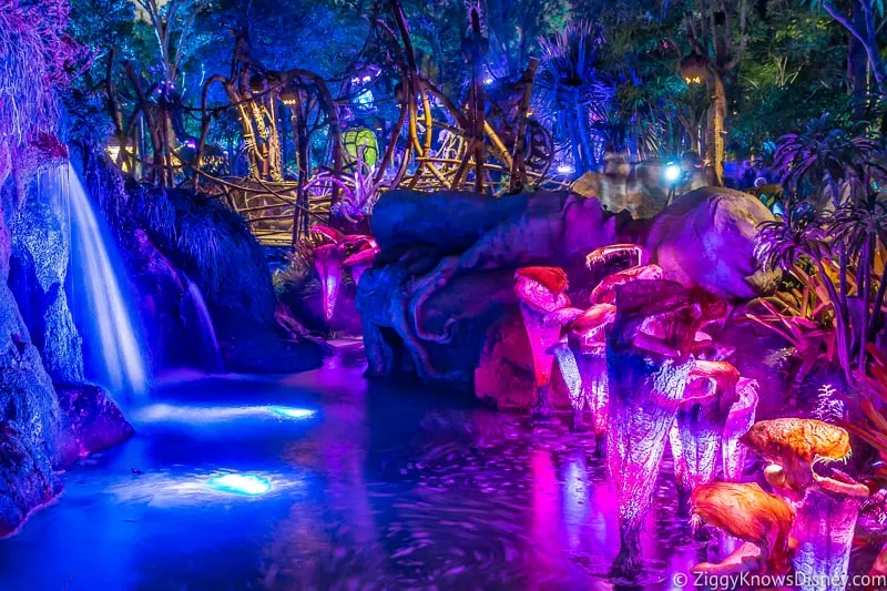 Pandora: The World of Avatar at night