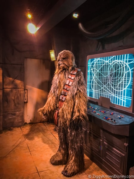 Chewbacca at Hollywood Studios