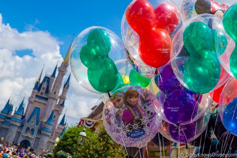 Early Theme Park Entry Disney World