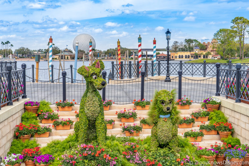 Disney World Special Events