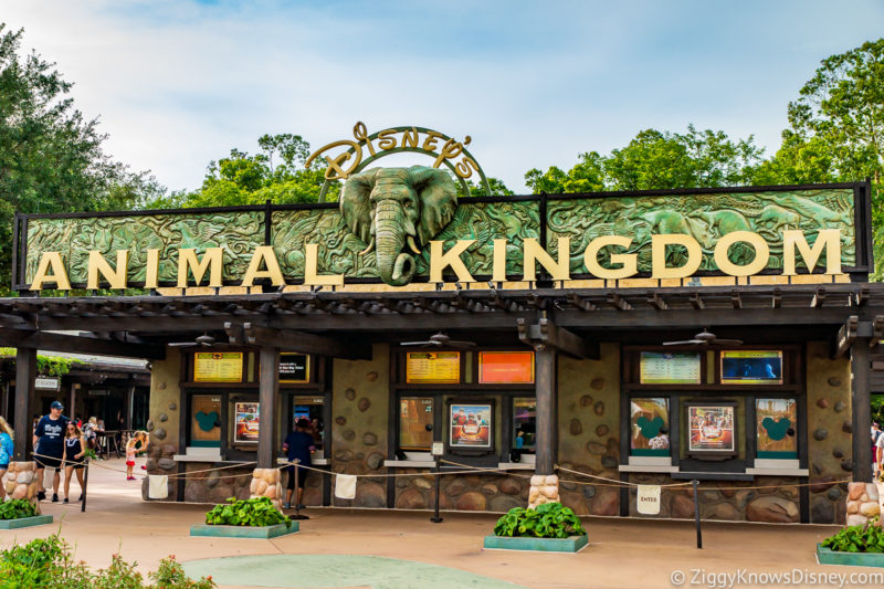 Animal Kingdom entrance