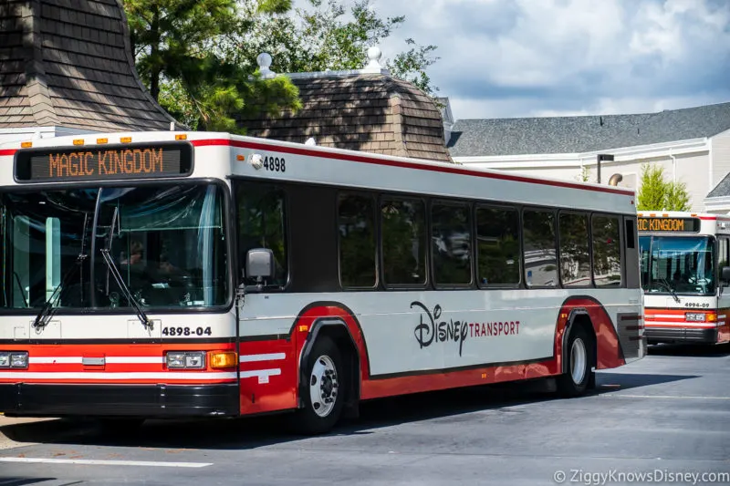 Disney Vacation Planning Guide buses